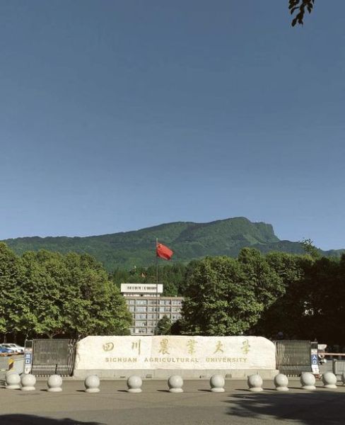 四川农业大学在哪里_川农大具体地址-第1张图片-星辰妙记
