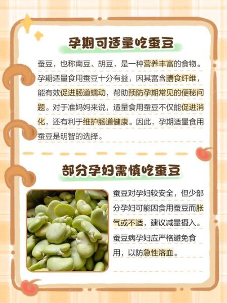 孕妇可以吃蚕豆吗_蚕豆对孕妇的影响-第1张图片-星辰妙记
