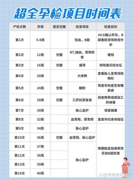 孕妇检查项目有哪些_孕早期检查时间表-第1张图片-星辰妙记