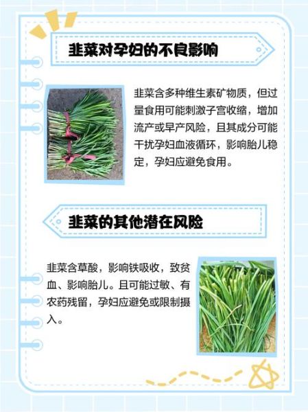 孕妇能吃韭菜吗_怀孕吃韭菜安全吗-第3张图片-星辰妙记