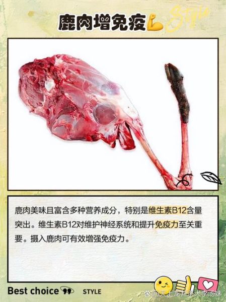 孕妇能吃鹿肉吗_鹿肉对孕妇安全吗-第1张图片-星辰妙记