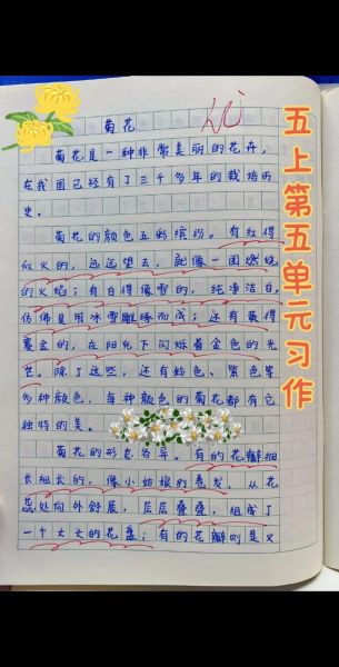 五年级上册第五单元作文怎么写_如何写介绍一种事物-第1张图片-星辰妙记