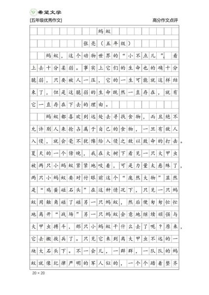 五年级优秀作文怎么写_如何写五年级优秀作文-第3张图片-星辰妙记