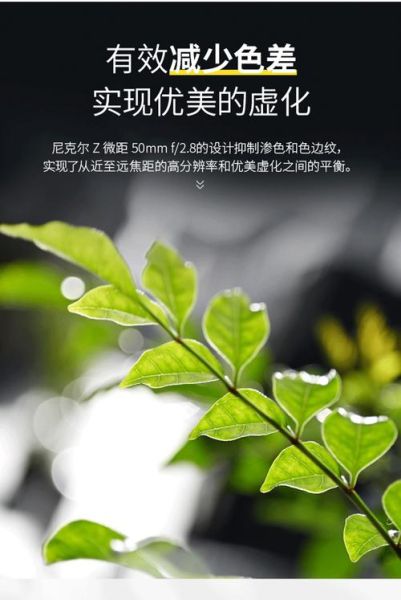 微单微距镜头怎么选_微距镜头推荐2024-第1张图片-星辰妙记