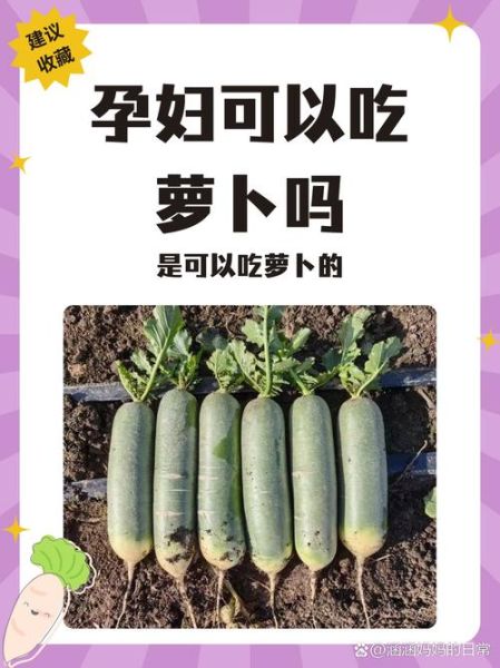 孕妇能吃生萝卜吗_生萝卜对胎儿有影响吗-第2张图片-星辰妙记