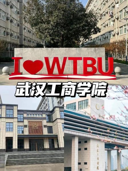 武汉工商学院怎么样_武汉工商学院学费一年多少钱-第3张图片-星辰妙记
