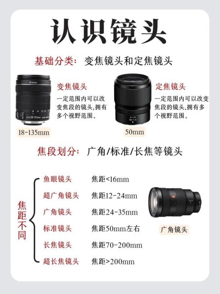单反基本镜头有哪些_新手怎么选-第1张图片-星辰妙记