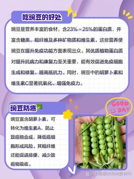 孕妇可以吃豌豆吗_豌豆对孕妇的好处-第1张图片-星辰妙记