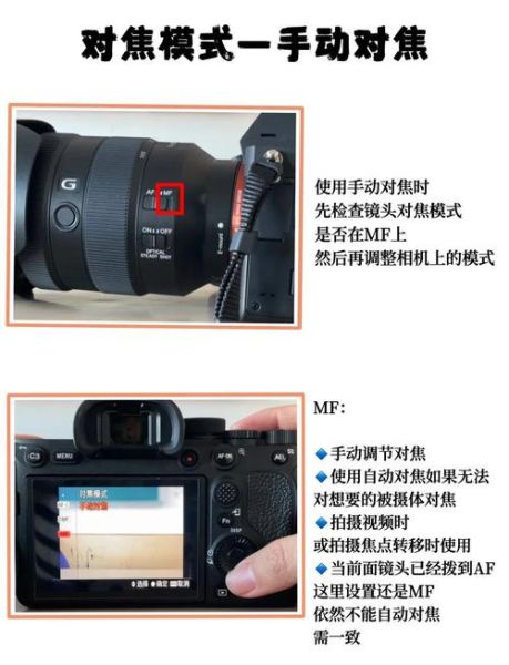 微距镜头怎么对焦_微距镜头对焦技巧-第2张图片-星辰妙记