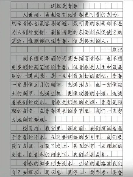 高中作文怎么写_优秀作文素材哪里找-第1张图片-星辰妙记