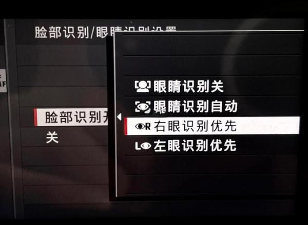 镜头无法自动对焦怎么办_相机对焦失灵如何排查-第3张图片-星辰妙记