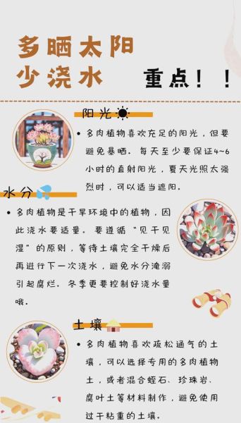 多肉植物怎么养_多肉植物多久浇一次水-第2张图片-星辰妙记