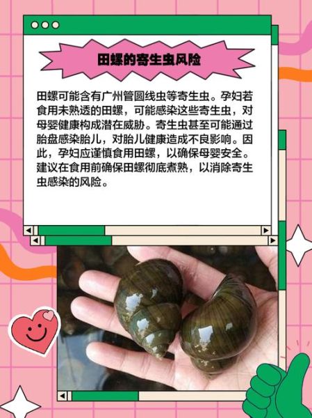 孕妇吃了石螺怎么办_对胎儿有影响吗-第2张图片-星辰妙记