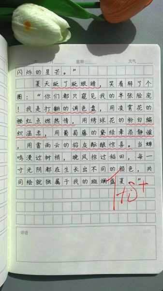 夏天怎么写作文_夏天作文素材有哪些-第1张图片-星辰妙记 夏天怎么写作文_夏天作文素材有哪些-第1张图片-星辰妙记
