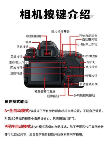 单反镜头太松怎么办_镜头卡口松动修复方法-第2张图片-星辰妙记