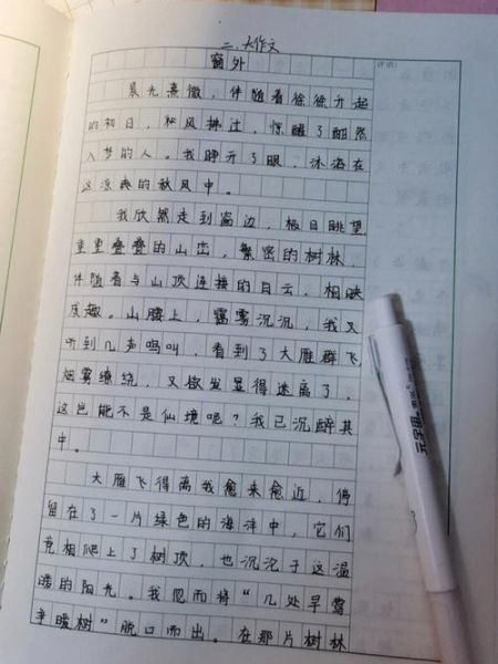窗外作文800字怎么写_窗外景色描写技巧-第3张图片-星辰妙记
