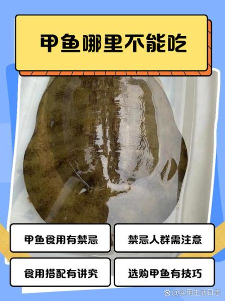 孕妇吃甲鱼对胎儿有影响吗_孕期能不能吃甲鱼-第3张图片-星辰妙记