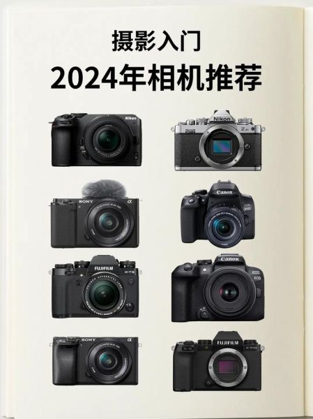 单反镜头和微单镜头区别_哪个更适合新手-第3张图片-星辰妙记