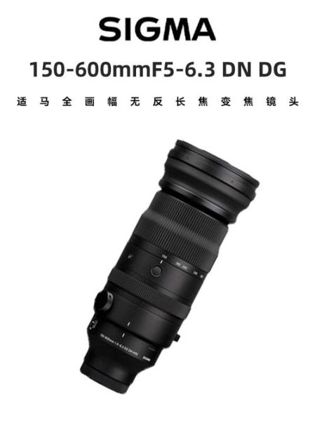 适马150-600mm值得买吗_实拍画质如何-第2张图片-星辰妙记