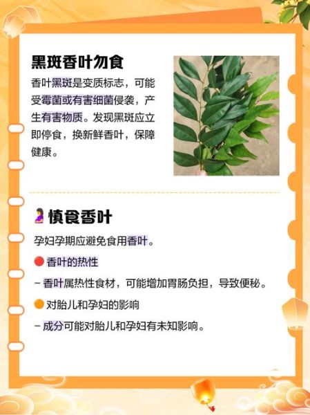 孕妇能吃香叶吗_香叶对孕妇安全吗-第1张图片-星辰妙记