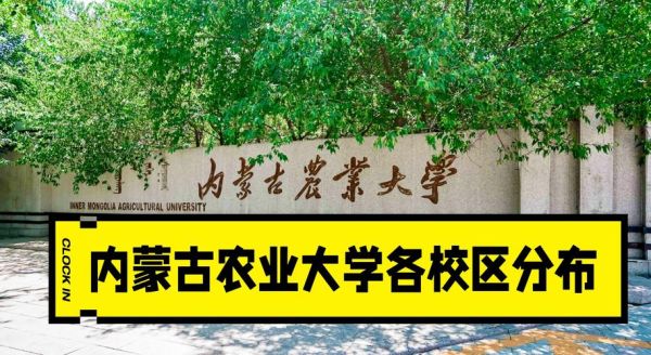 内蒙古农业大学有哪些特色专业_就业前景怎么样-第1张图片-星辰妙记 内蒙古农业大学有哪些特色专业_就业前景怎么样-第1张图片-星辰妙记