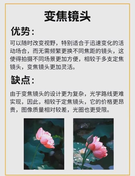 蓝标镜头是什么_蓝标镜头和绿标镜头区别-第1张图片-星辰妙记