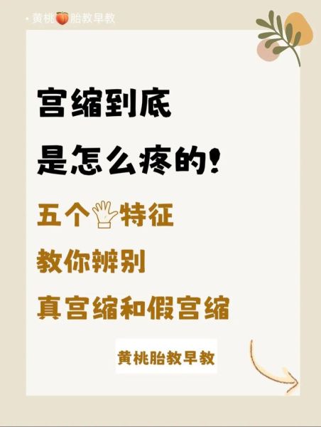 孕妇真宫缩是什么感觉_真宫缩和假宫缩区别-第3张图片-星辰妙记