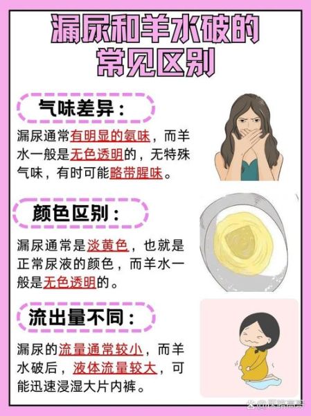 孕妇漏尿和漏羊水区别_怎么判断漏尿还是漏羊水-第3张图片-星辰妙记