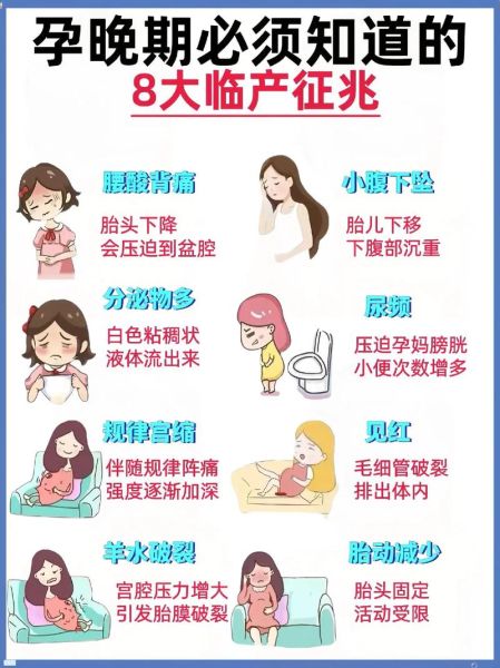 孕妇生前有什么征兆_临产前一周身体变化-第1张图片-星辰妙记