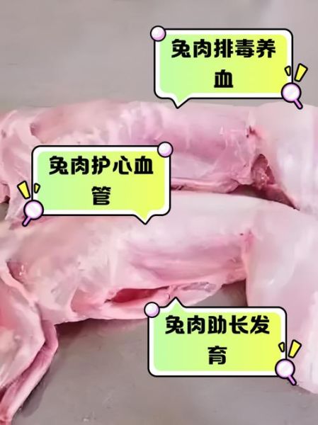 孕妇能吃兔子肉吗_孕妇吃兔子肉有什么危害-第2张图片-星辰妙记
