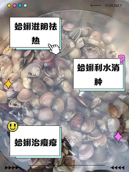 孕妇可以吃蛤蜊吗_怀孕吃蛤蜊注意事项-第1张图片-星辰妙记