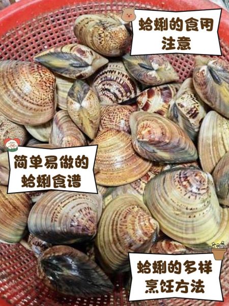 孕妇可以吃蛤蜊吗_怀孕吃蛤蜊注意事项-第3张图片-星辰妙记