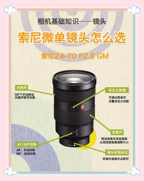 单反相机怎么选_镜头焦距怎么选-第2张图片-星辰妙记