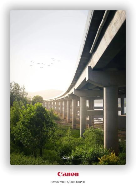 400镜头适合拍什么_400镜头多少钱-第3张图片-星辰妙记 400镜头适合拍什么_400镜头多少钱-第3张图片-星辰妙记