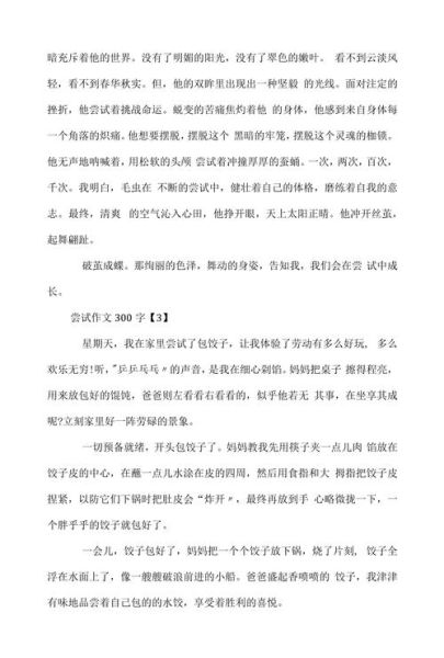 尝试作文300字怎么写_小学生作文技巧-第1张图片-星辰妙记