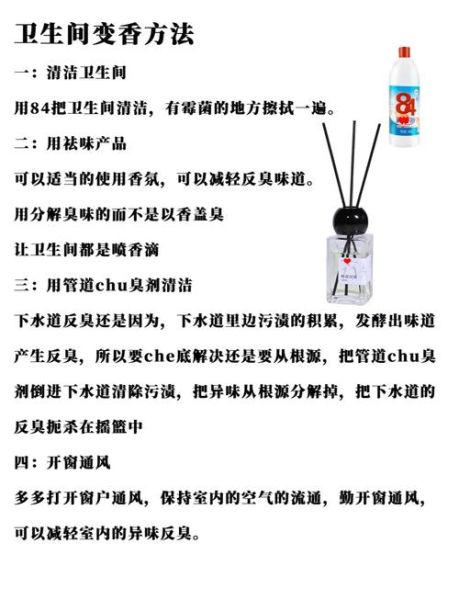 厕所怎么除臭_厕所异味怎么去除-第1张图片-星辰妙记
