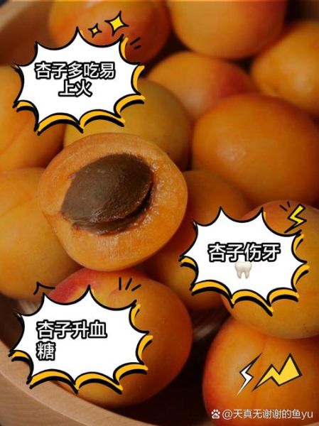 孕妇一天最多吃几个杏_杏子对胎儿有影响吗-第1张图片-星辰妙记