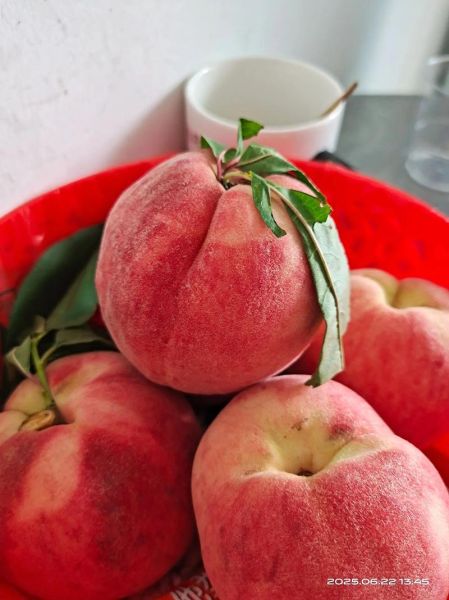 孕妇梦见吃桃子是什么意思_孕妇梦见吃桃子生男生女-第3张图片-星辰妙记