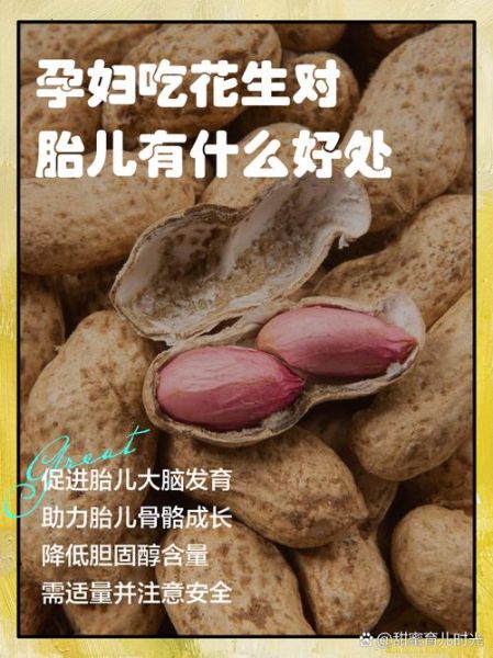 孕妇能吃生花生吗_生花生对孕妇的好处与风险-第2张图片-星辰妙记