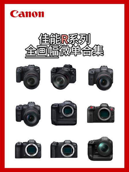 佳能全画幅镜头有哪些_怎么选-第3张图片-星辰妙记 佳能全画幅镜头有哪些_怎么选-第3张图片-星辰妙记