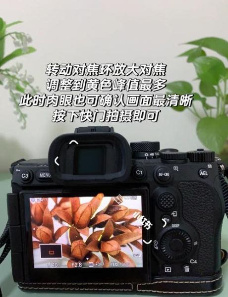 手动镜头怎么快速对焦_手动对焦技巧-第2张图片-星辰妙记 手动镜头怎么快速对焦_手动对焦技巧-第2张图片-星辰妙记