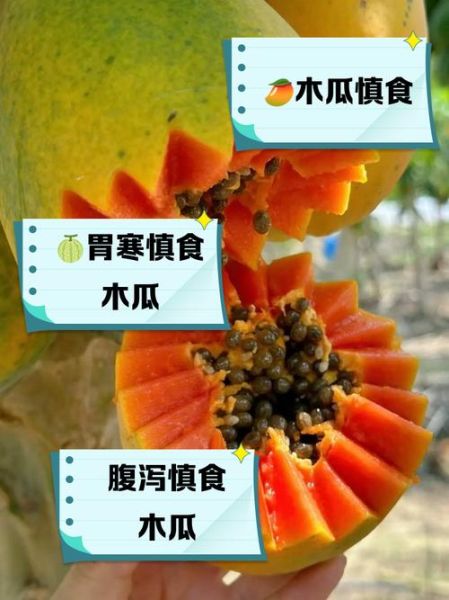 孕妇可以吃木瓜吗_木瓜对胎儿的影响-第1张图片-星辰妙记