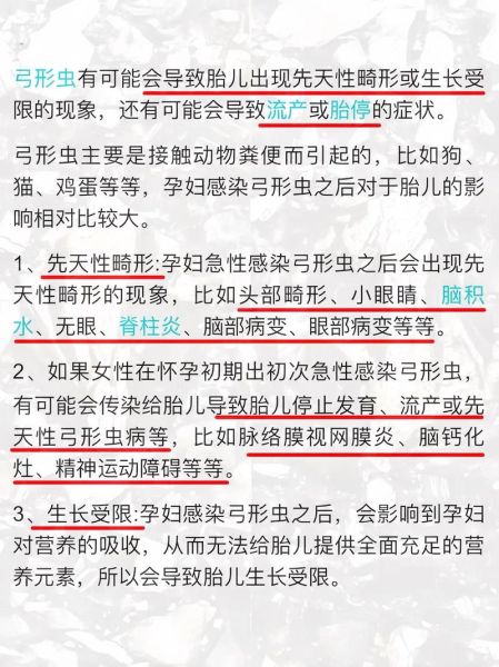 孕妇可以养猫吗_弓形虫感染风险-第1张图片-星辰妙记