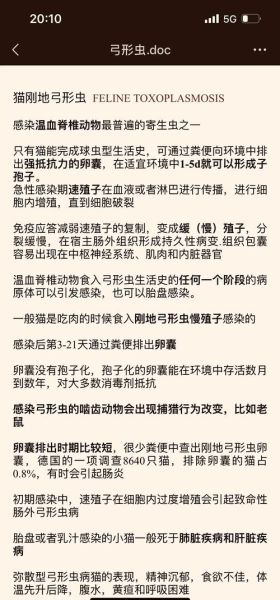 孕妇可以养猫吗_弓形虫感染风险-第2张图片-星辰妙记