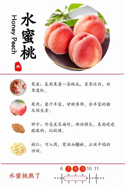 孕妇可以吃水蜜桃吗_孕期吃水蜜桃注意事项-第1张图片-星辰妙记