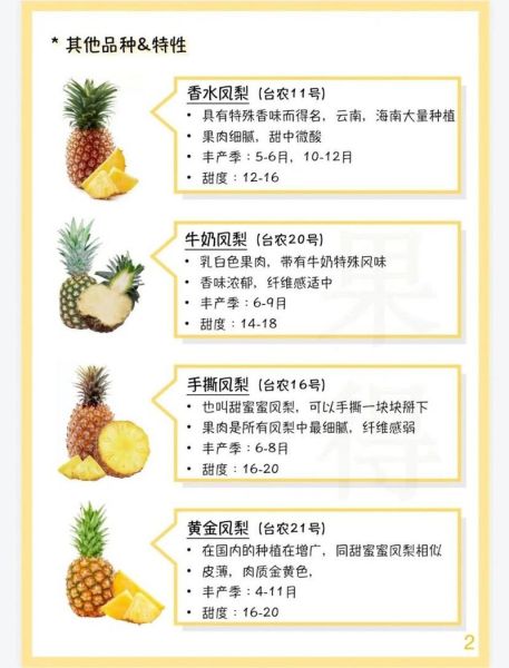 孕妇可以吃凤梨吗_凤梨对孕妇的好处与禁忌-第1张图片-星辰妙记