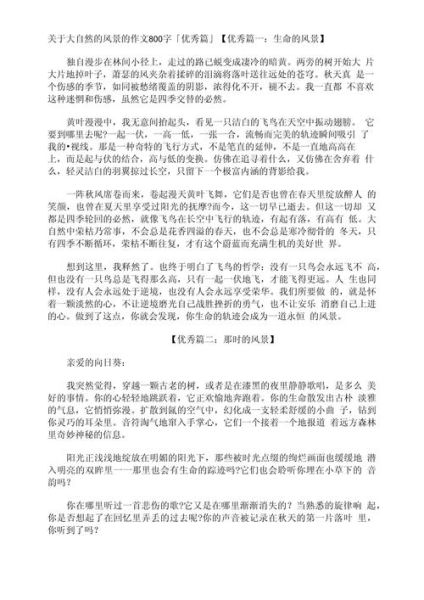 如何描写风景_800字作文怎么写-第3张图片-星辰妙记