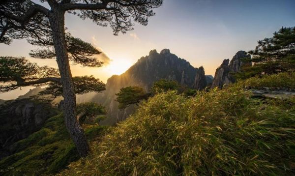 最大广角镜头怎么选_超广角镜头推荐-第2张图片-星辰妙记