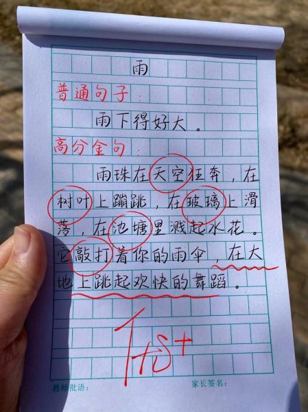 下雨的作文怎么写_描写雨的优美句子有哪些-第2张图片-星辰妙记