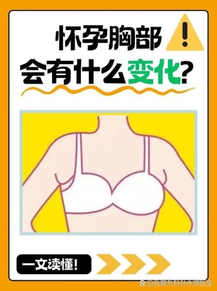 孕妇几个月胸部变大_怀孕多久乳房开始胀痛-第2张图片-星辰妙记